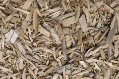 biomass boilers Cullybackey